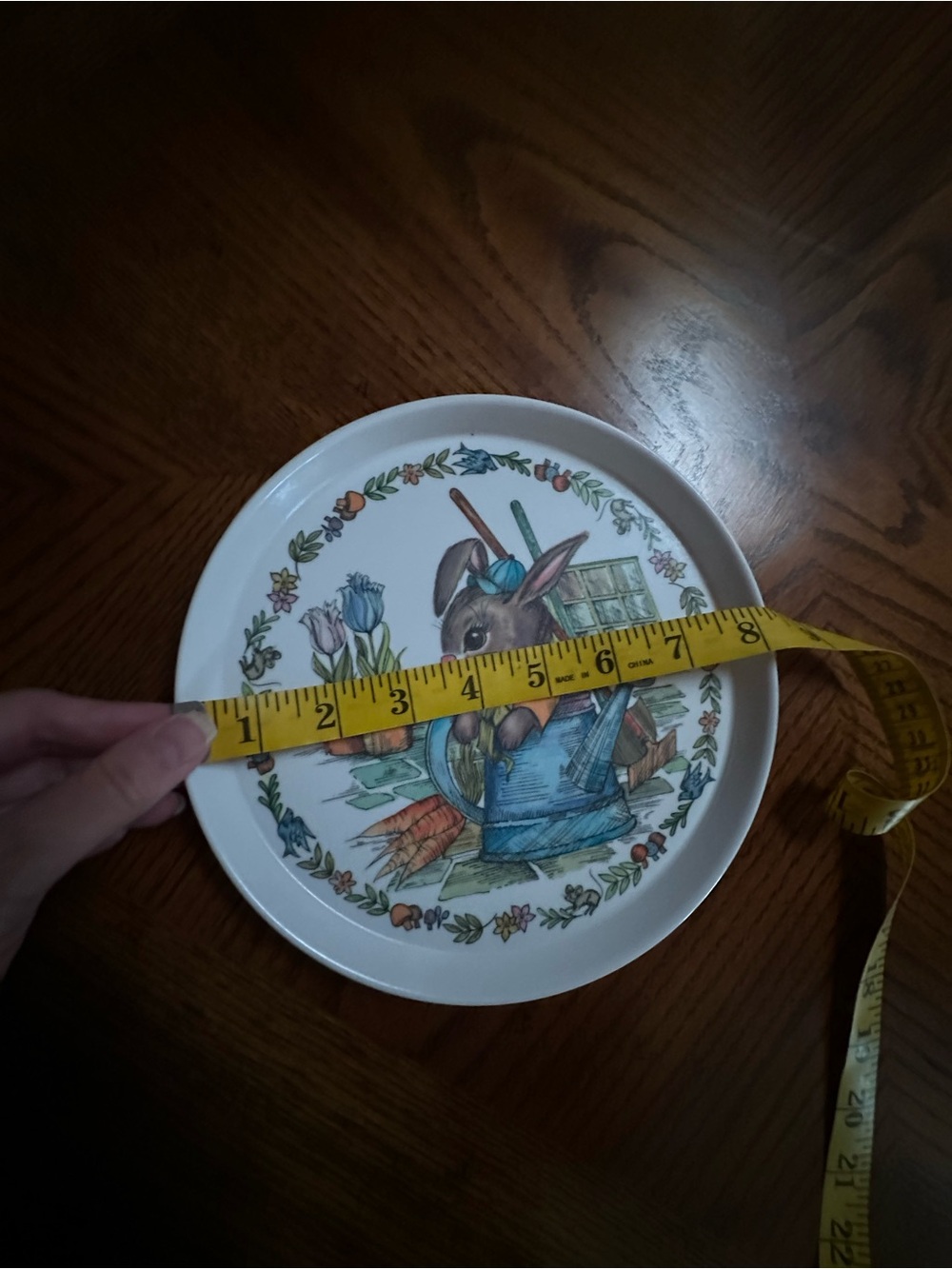 Oneida Deluxe Peter Rabbit Melamine Dinnerware Set - Picture 16 of 16